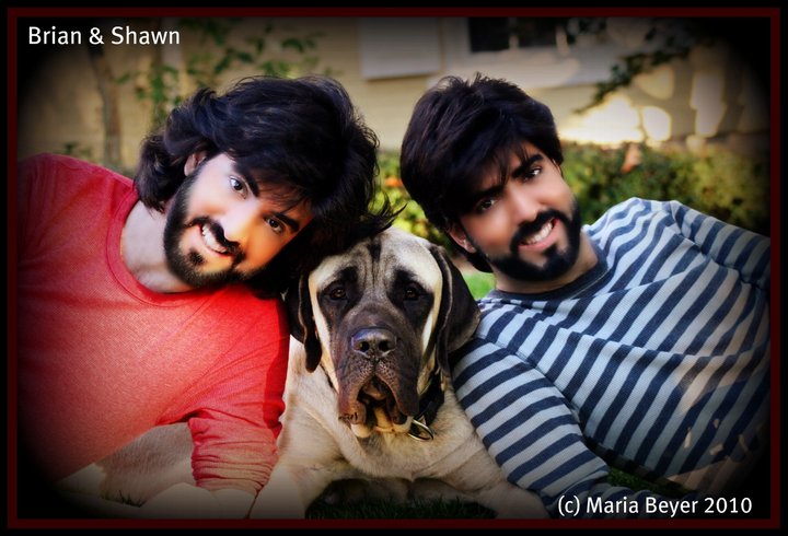 bros&dog